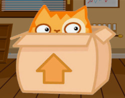 Cat Evolution: Clicker