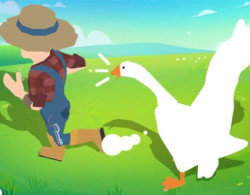 Crazy Goose Simulator