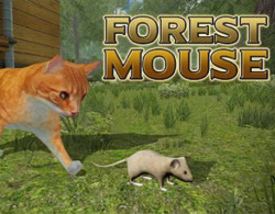Forest Mouse