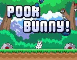 Poor Bunny